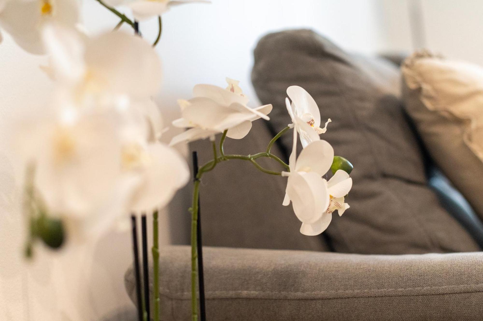 Apartment K&L,זאדאר מראה חיצוני תמונה